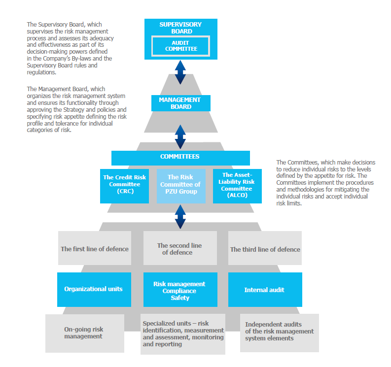 Organizational structure of risk management system